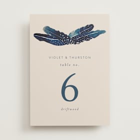 Table Numbers