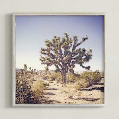 Joshua Tree
