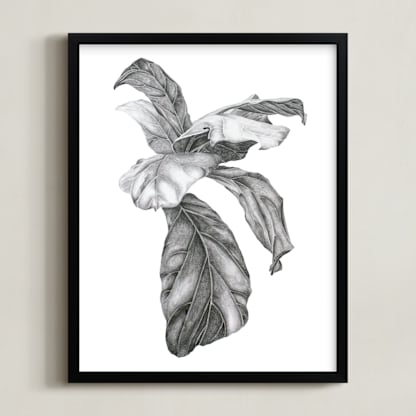 Fiddle Leaf Fig Leaves