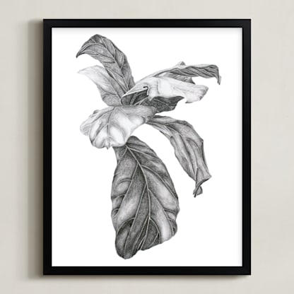 Fiddle Leaf Fig Leaves