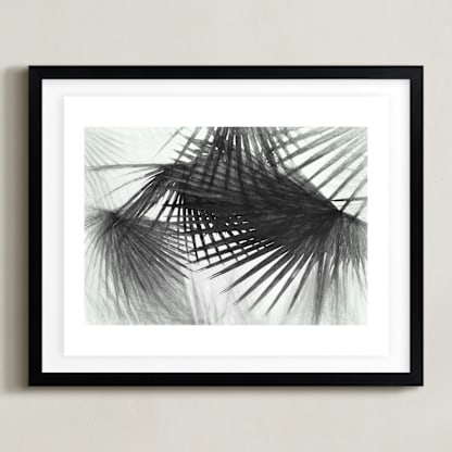 Ghost Palms