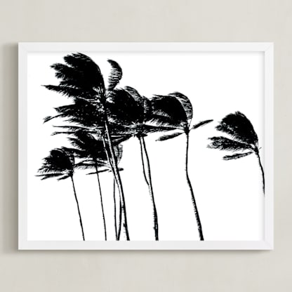 Palm Trees in the Wind
