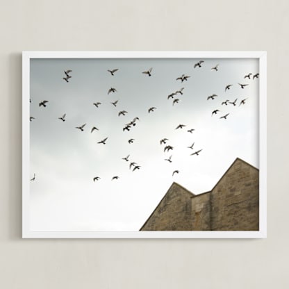 Lost in Flight
