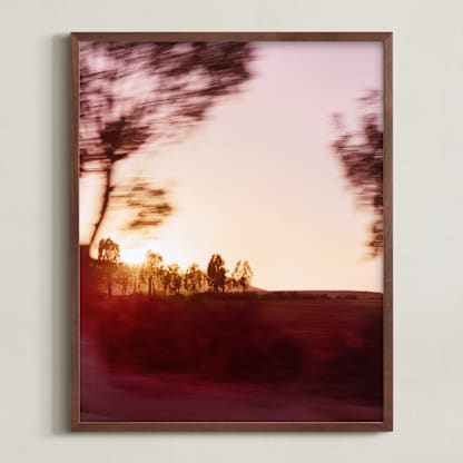 Moroccan Sunset Trees