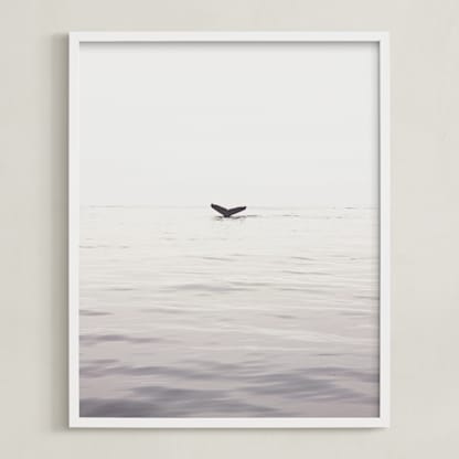 A Humpback Tale