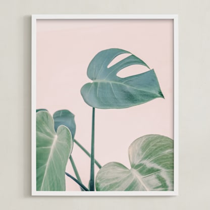 Botanical No. 38