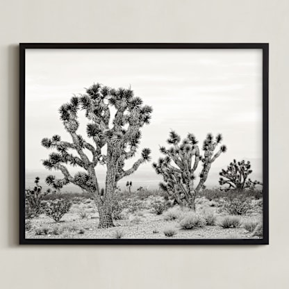 Joshua Tree