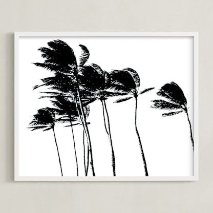 Palm Trees in the Wind