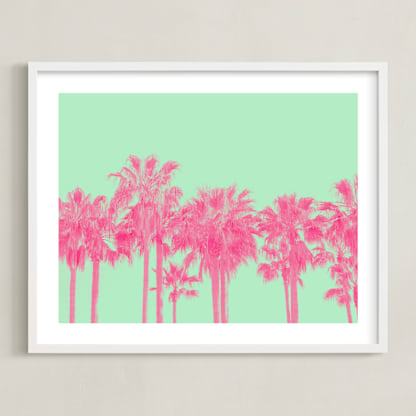Palms in Colors