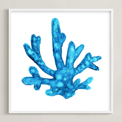 Blue Caribbean Coral