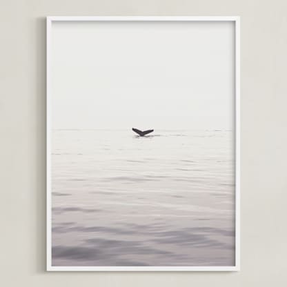 A Humpback Tale