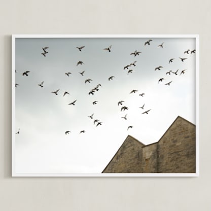 Lost in Flight