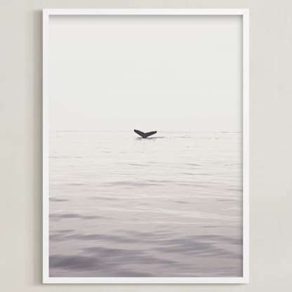 A Humpback Tale