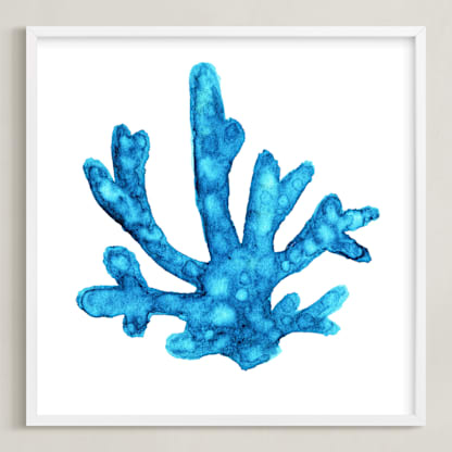 Blue Caribbean Coral