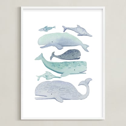 Blue Whales