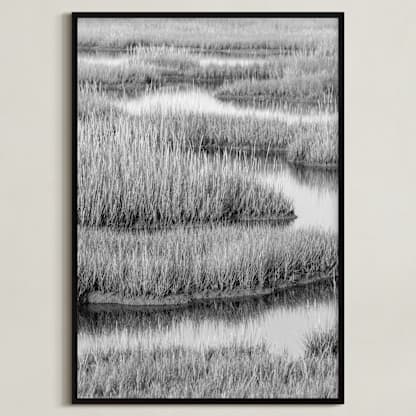 Marshlands 1