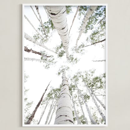 Aspens at Altitude
