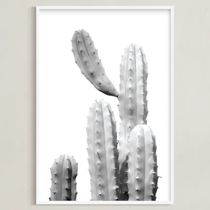 Moorten Cactus Study 1