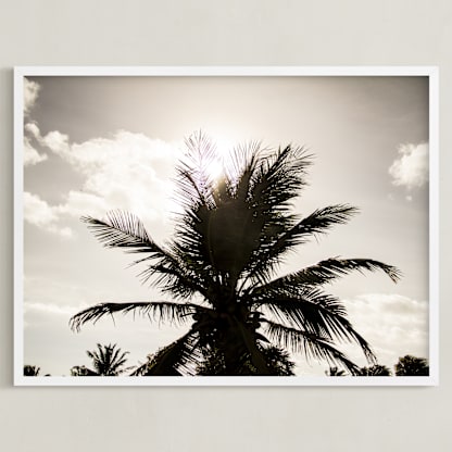 Shadow Palm