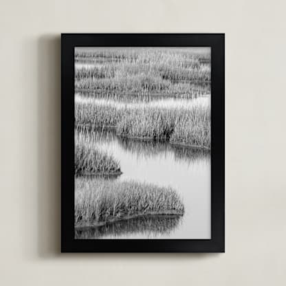 Marshlands 2