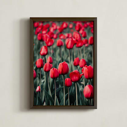 Red Tulips