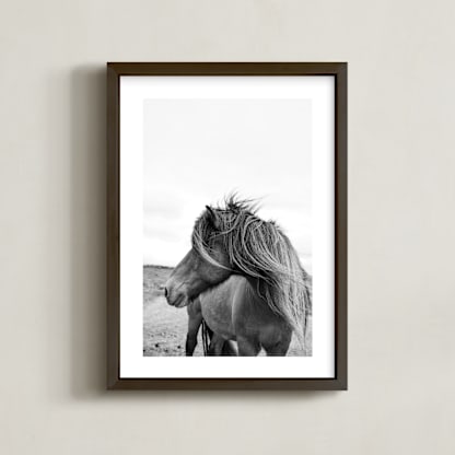 A Horse and the Wind