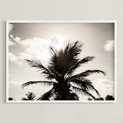 Shadow Palm
