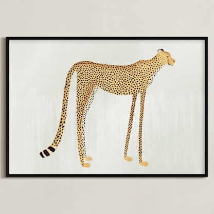 Spots