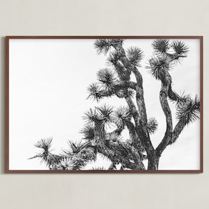 Joshua Tree in September