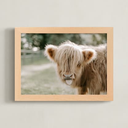 The Silly Little Cow