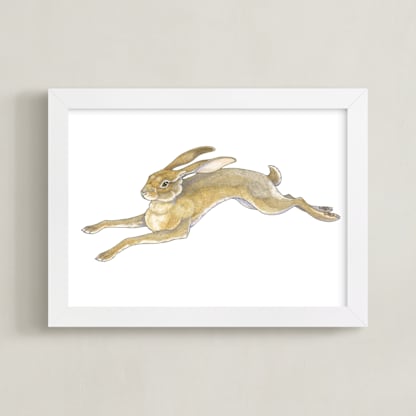 Wild Hare