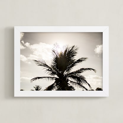 Shadow Palm