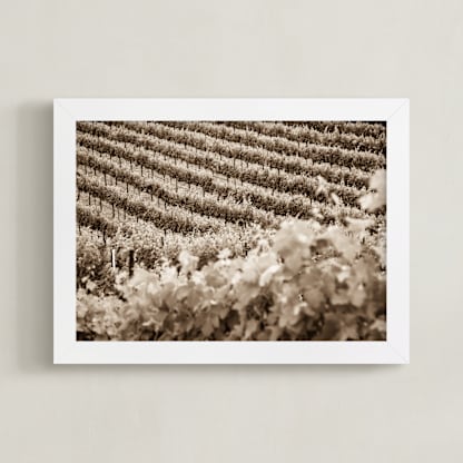 Vineyard Seasons - June, No. 1