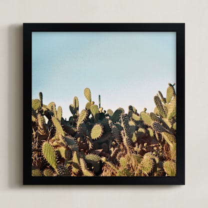 Cactus in a sunset