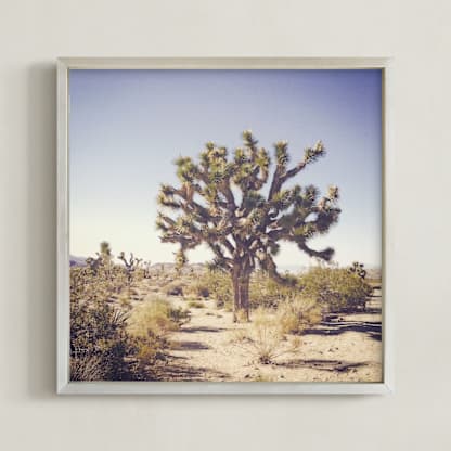 Joshua Tree