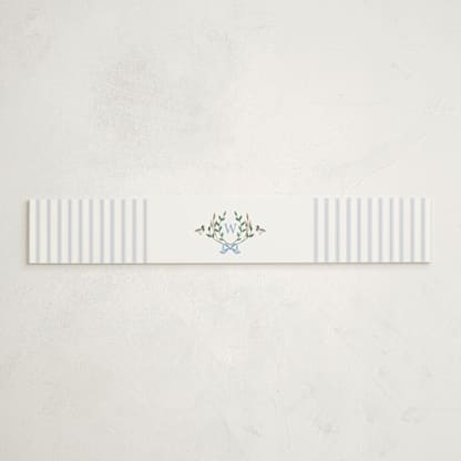 Southern Mallard Duck