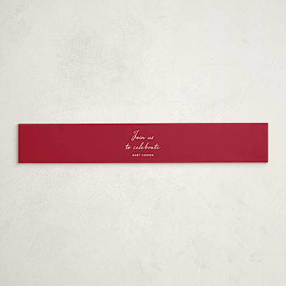 Winter Deer Carousel