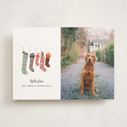 The Dog's Stocking Wish