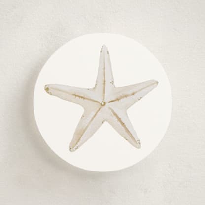 Watercolor Sand dollar