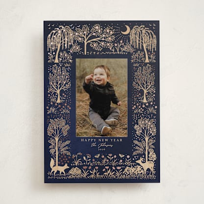 Forest under the moonlight