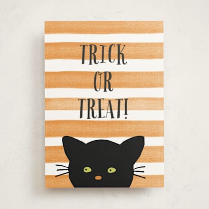 Striped Cat