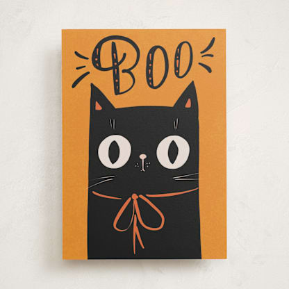 Boo cat