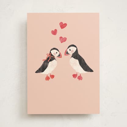 Stud Puffin