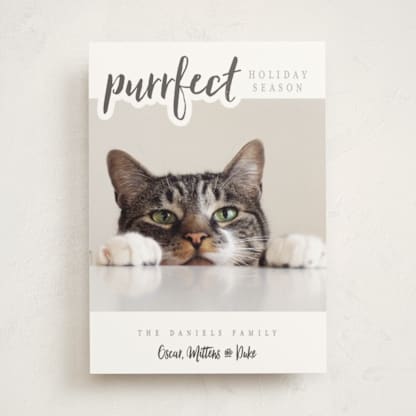 A Purrfect Christmas