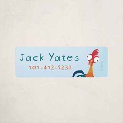 Disney's Moana Hei Hei!