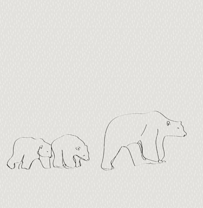 Polar Bears