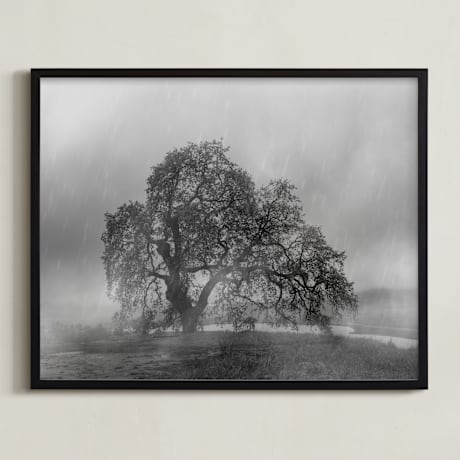 Limited Edition Fine Art Print 2