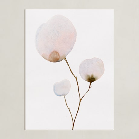 Limited Edition Fine Art Print 1