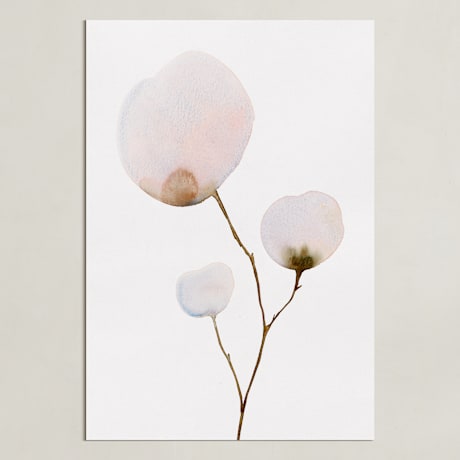 Limited Edition Fine Art Print 2