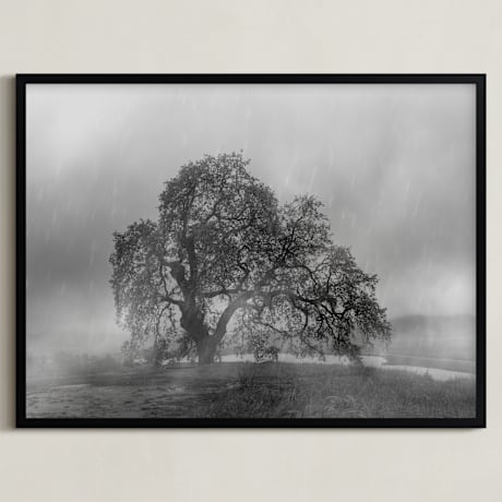 Limited Edition Fine Art Print 1